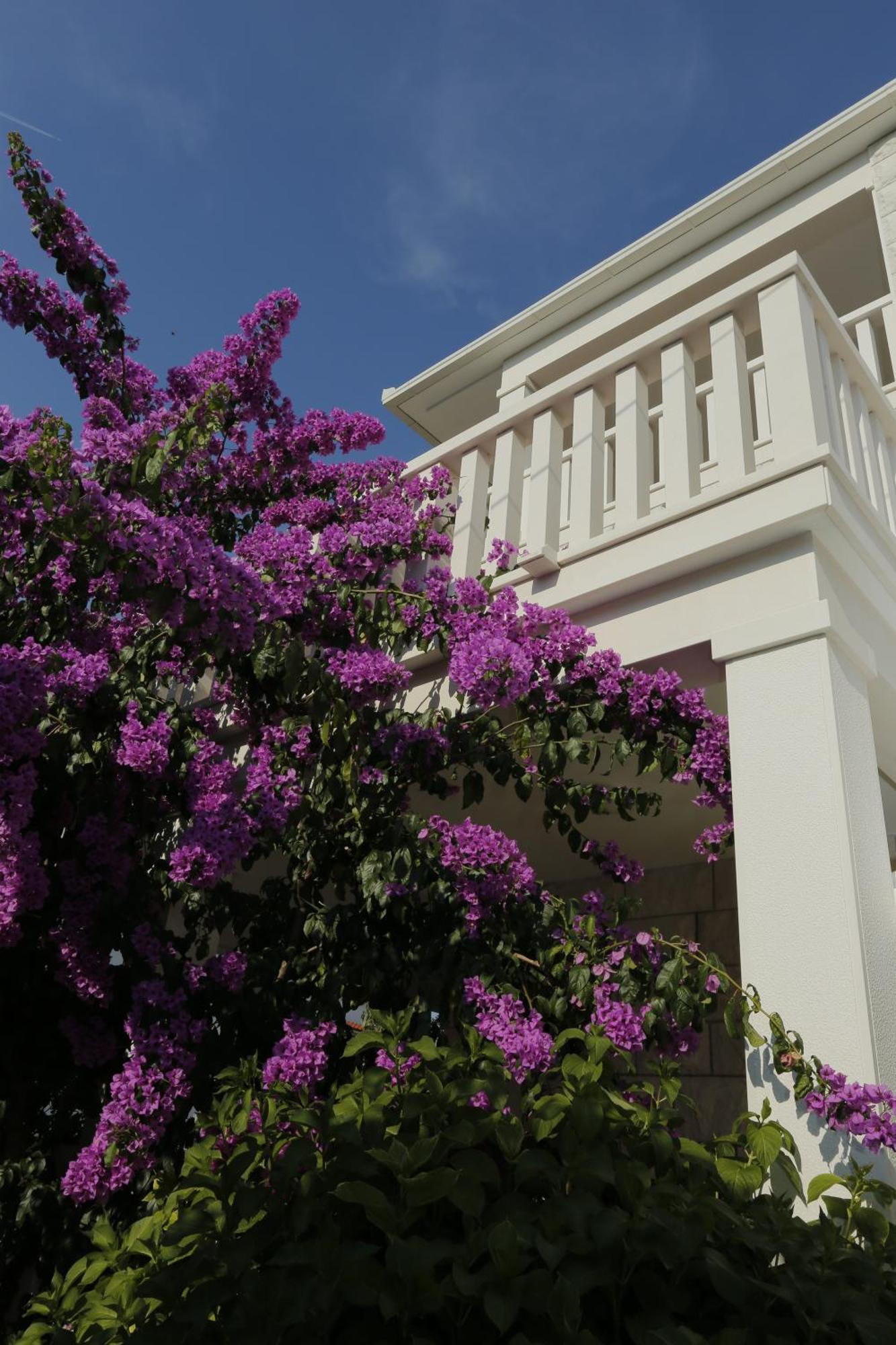 Apartments Marino Supetar Ngoại thất bức ảnh